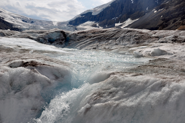The Athabasca Glacier